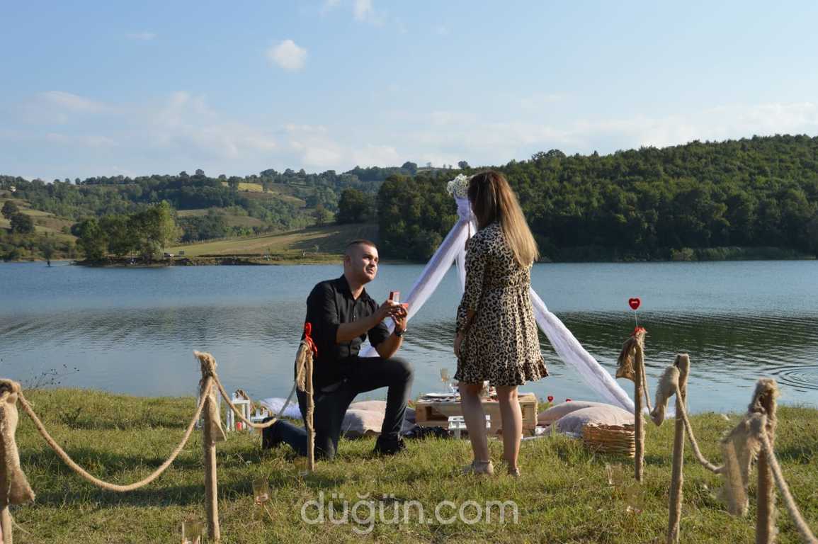 Konsept Organizasyon