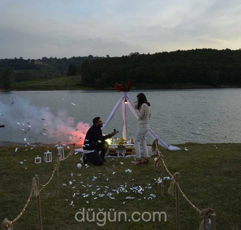 Konsept Organizasyon