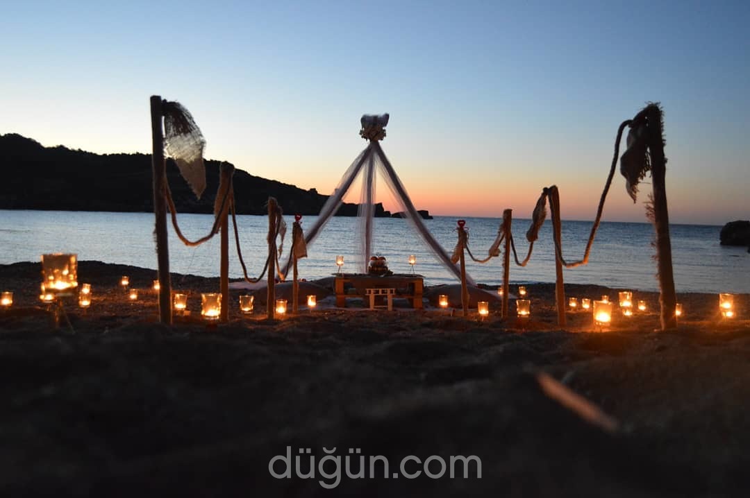 Konsept Organizasyon