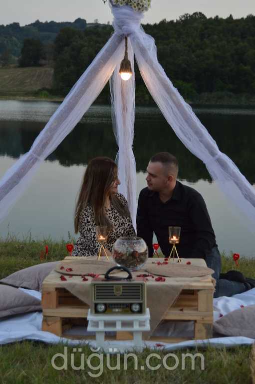 Konsept Organizasyon