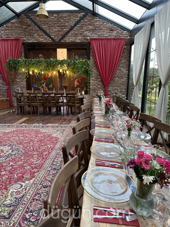 Dreamland Organizasyon