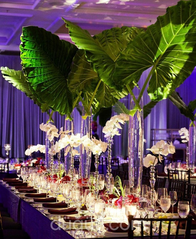 Deniz Dora Wedding Decoration