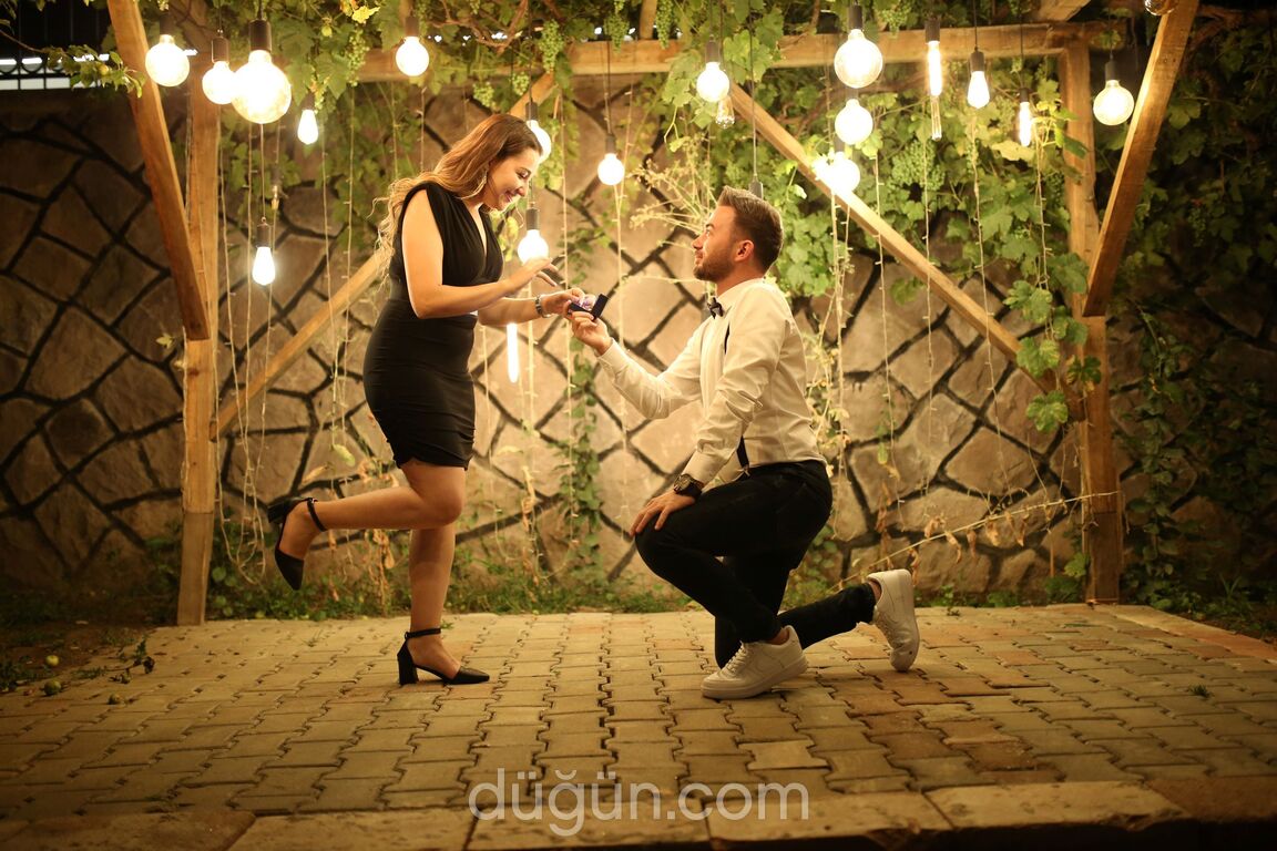 No 25 Plato Etkinlik