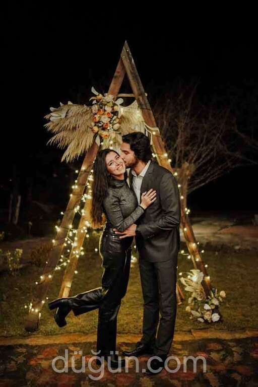 No 25 Plato Etkinlik