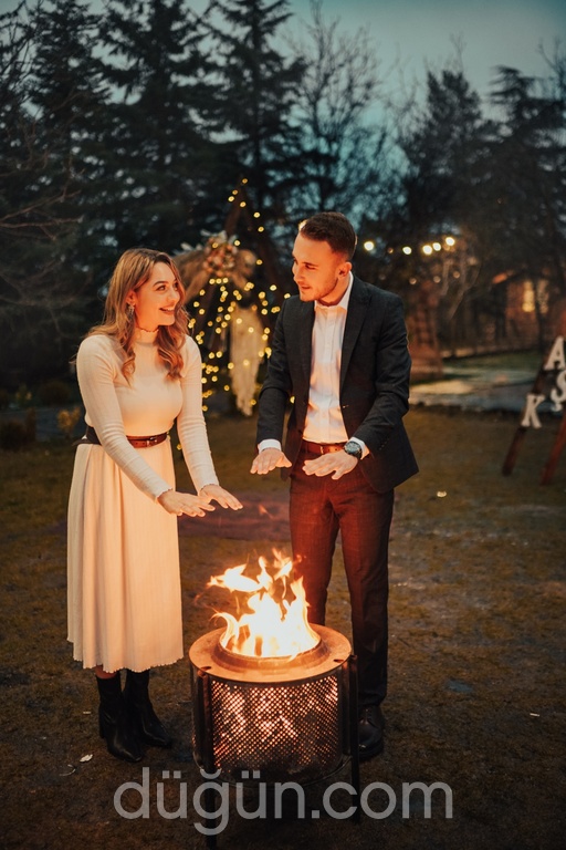 No 25 Plato Etkinlik