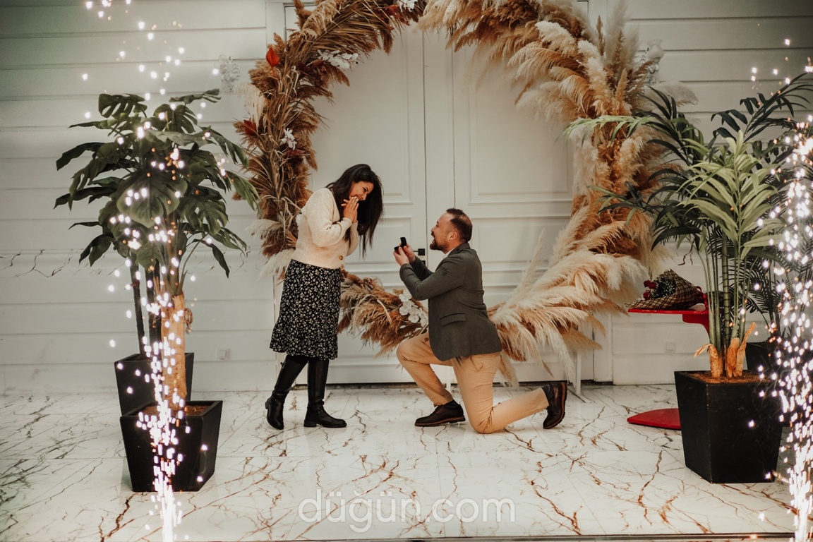 No 25 Plato Etkinlik