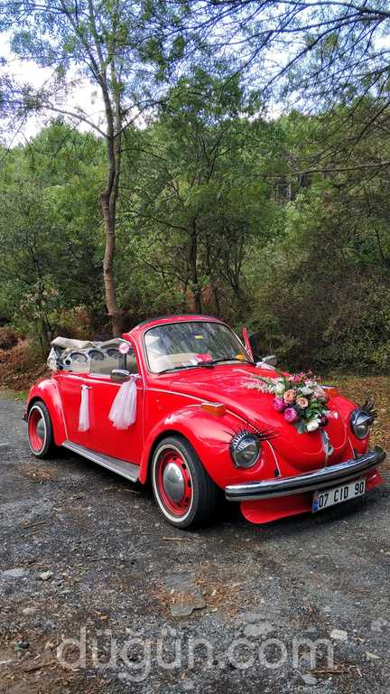 Vosvos Gelin Arabası