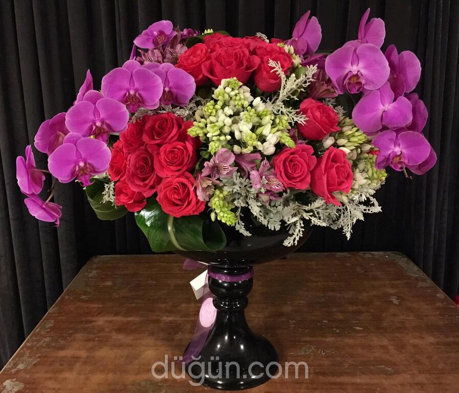 Cielo Flowers & Chocolate