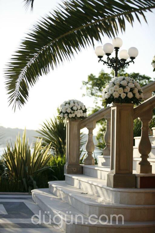 Cielo Flowers & Chocolate