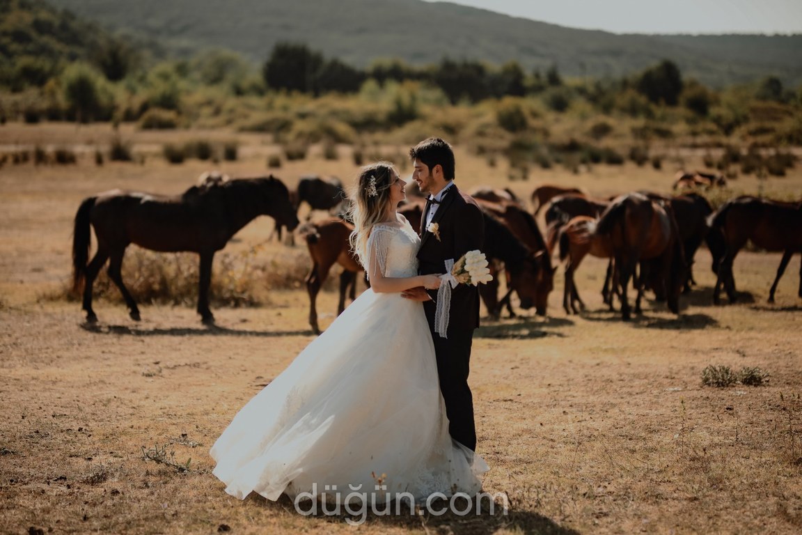 Royal Fotoğrafçılık