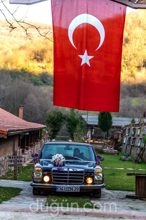 Siyah İnci