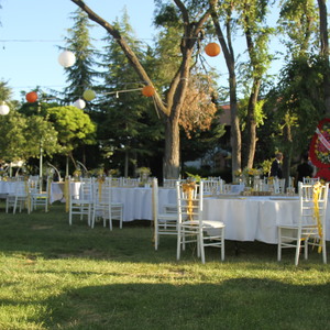 image-1652710