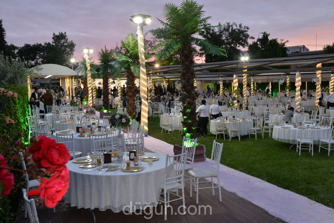 Damra Wedding & Events