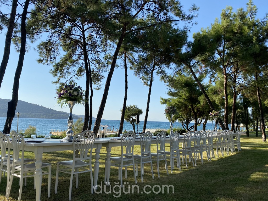 Denizay Prestij Organizasyon