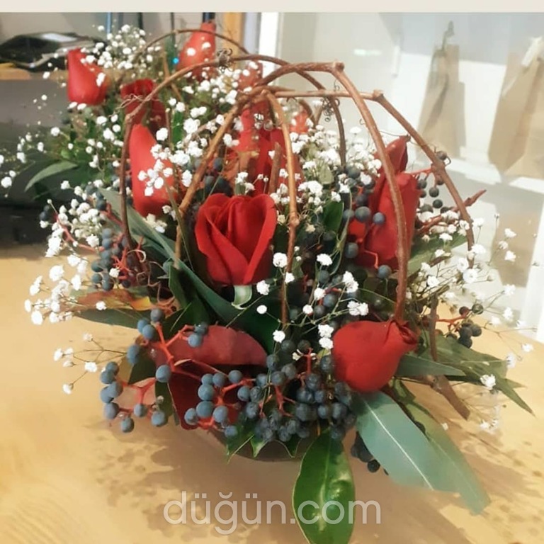 Düğüncüm Düğün Ve Kına Organizasyon