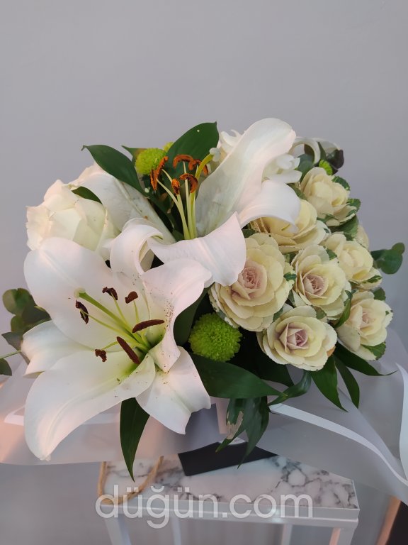 Linda Flower & Coffee