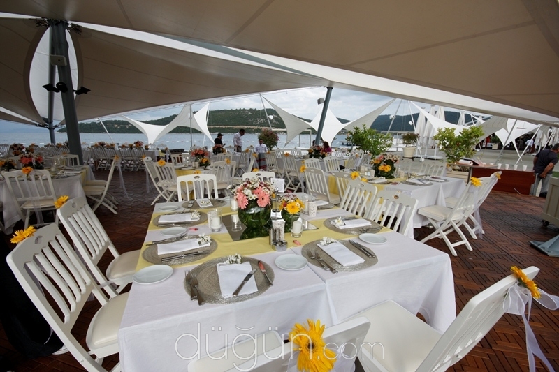 Nilyum Events & Wedding Design