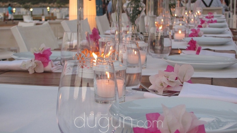 Nilyum Events & Wedding Design