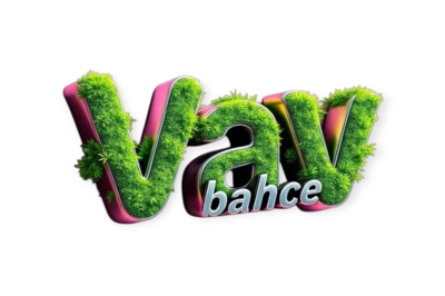 image-2370725