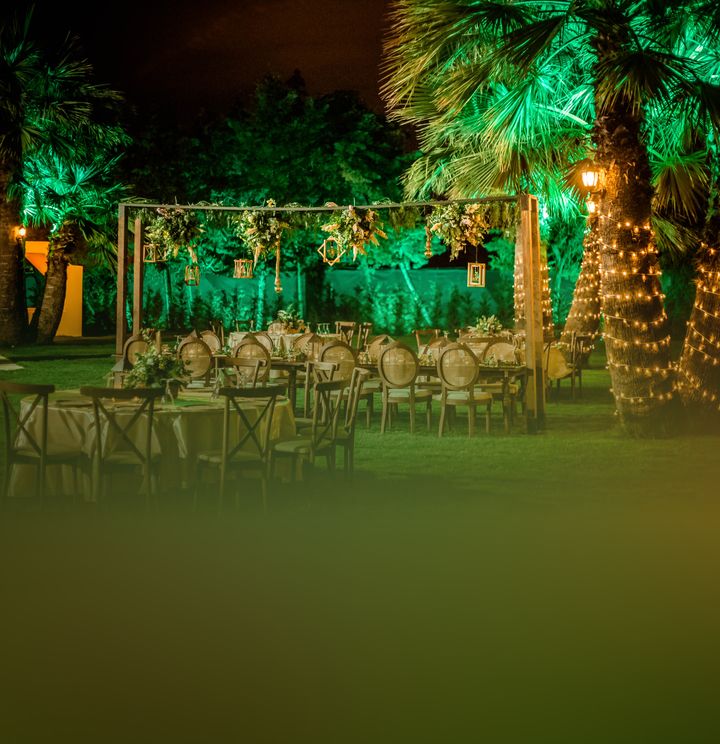 Three Palm Event & More
