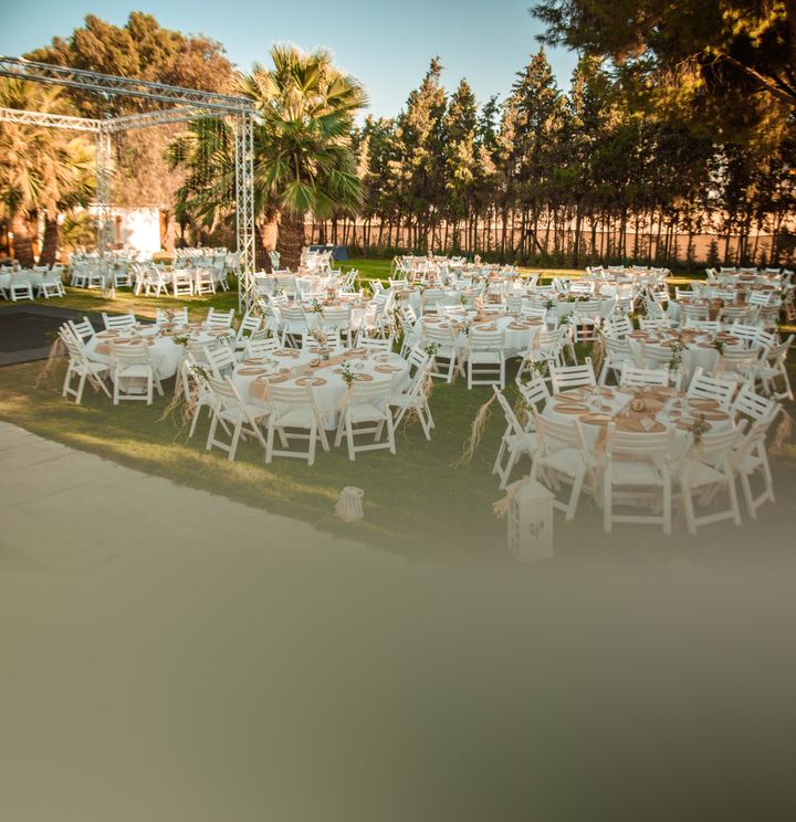 Three Palm Event & More