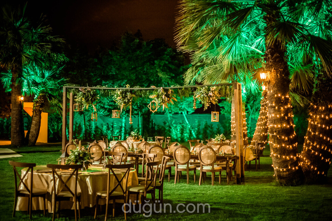 Three Palm Event & More