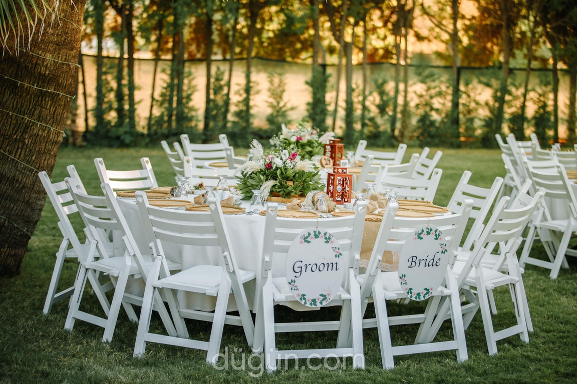 Three Palm Event & More