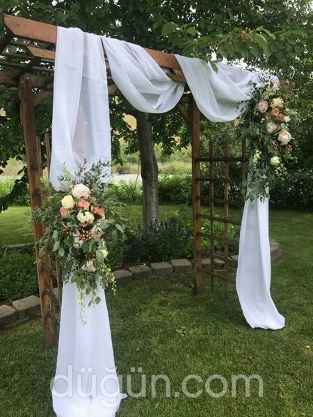 İyi Fikir Organizasyon