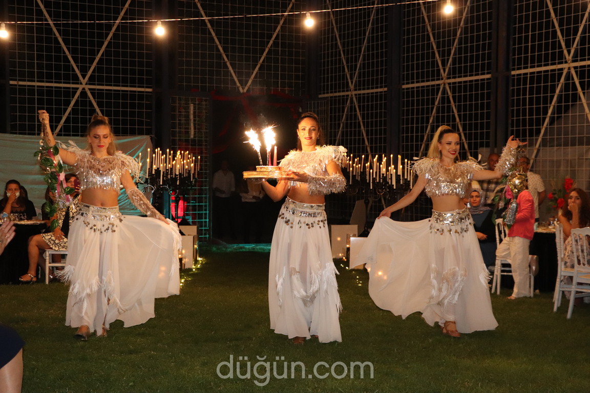 İyi Fikir Organizasyon