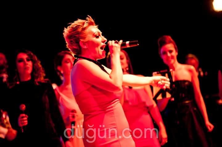 Feedback Plus Müzik Organizasyon