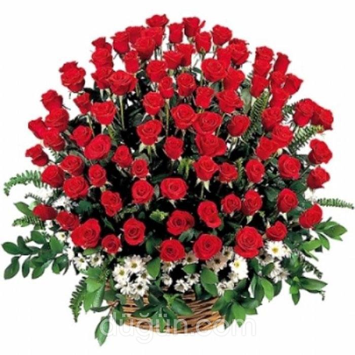 Papatya Çiçekçilik