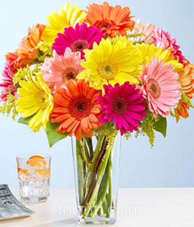 Papatya Çiçekçilik