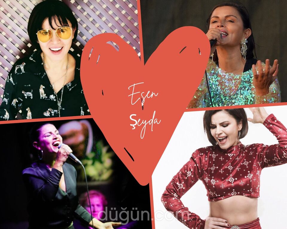 Feedback Plus Müzik Organizasyon