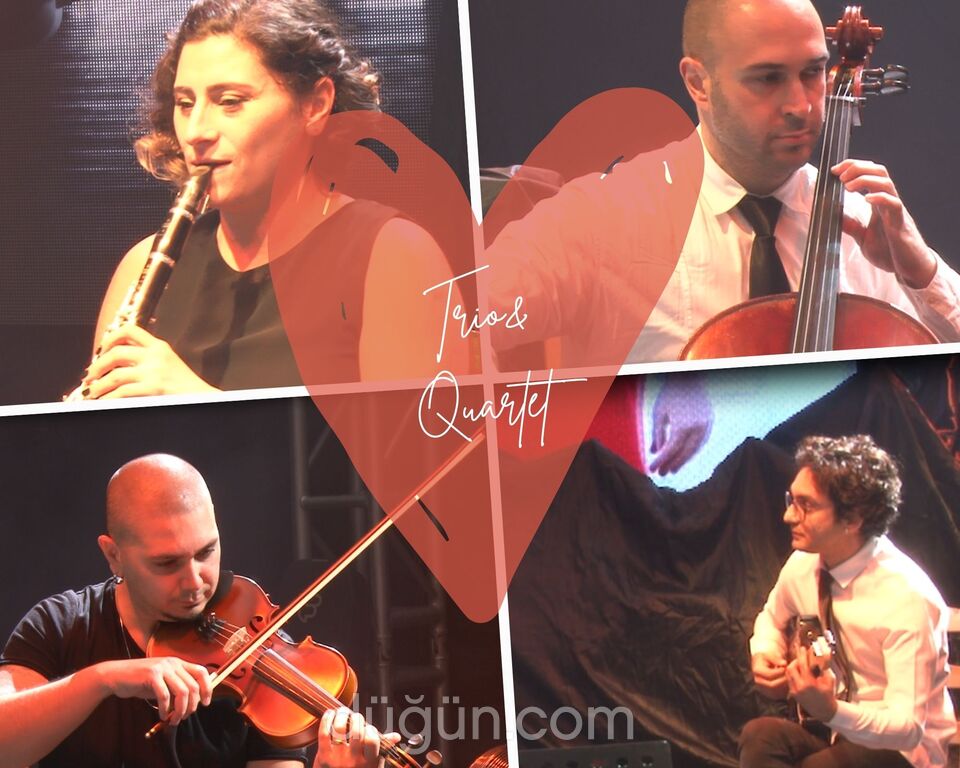 Feedback Plus Müzik Organizasyon