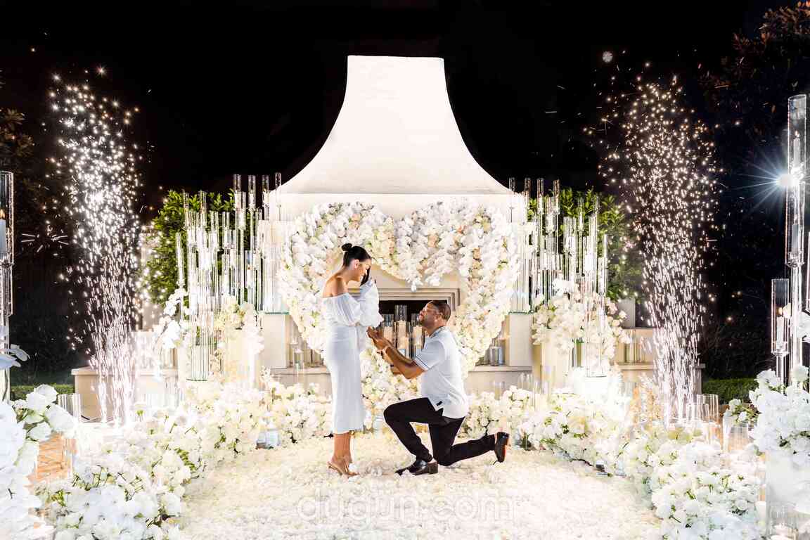 Feedback Plus Müzik Organizasyon