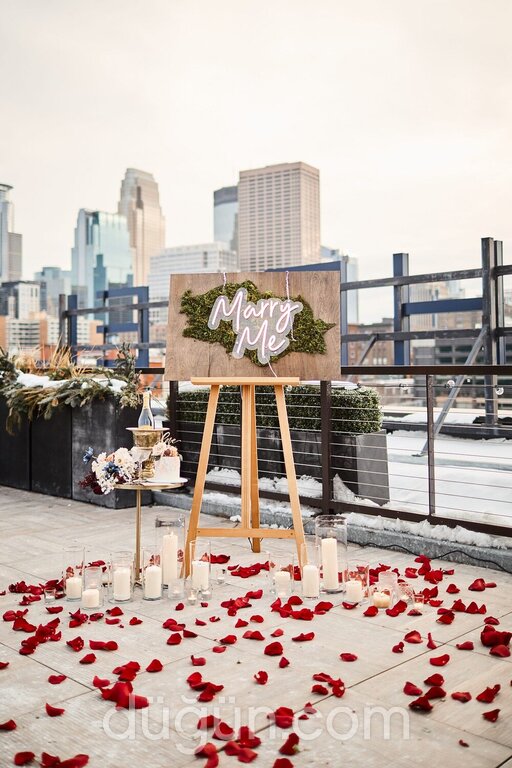 Feedback Plus Müzik Organizasyon