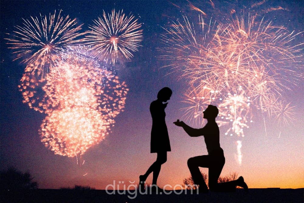 Feedback Plus Müzik Organizasyon