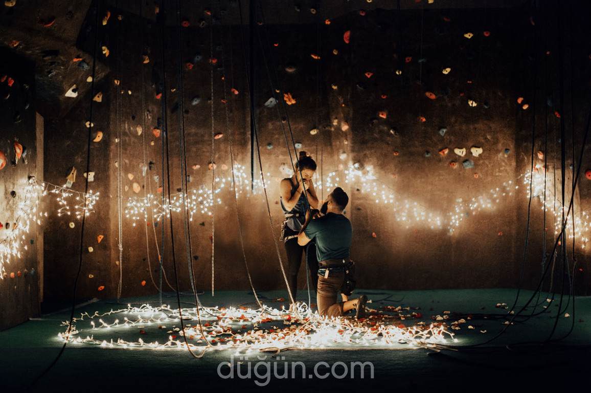 Feedback Plus Müzik Organizasyon