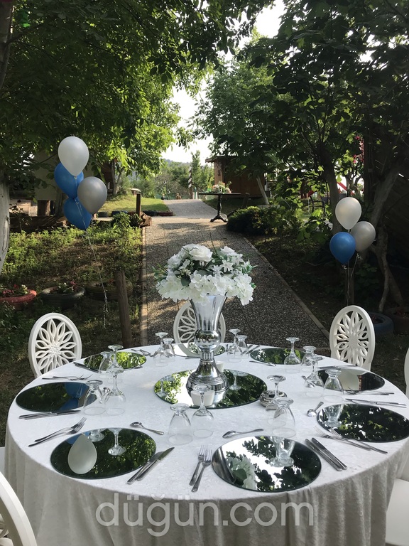 Ayfer Aydın Event's