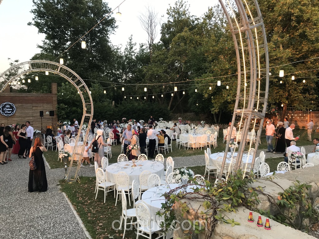 Ayfer Aydın Event's