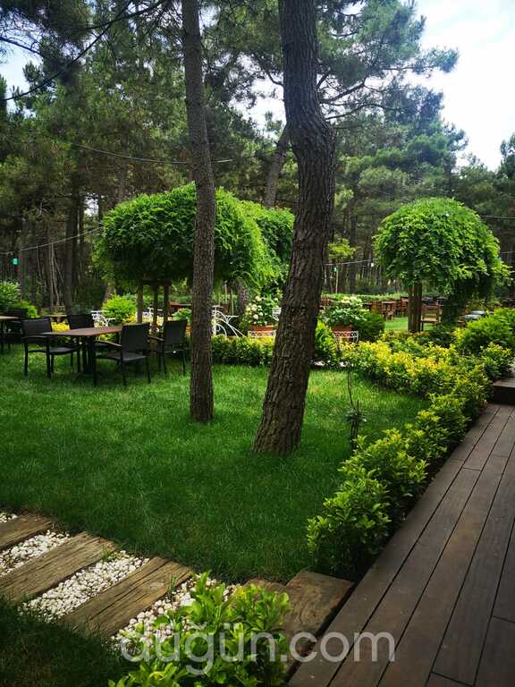 Nefes Cafe Garden Fiyatlari Kir Dugunu Istanbul