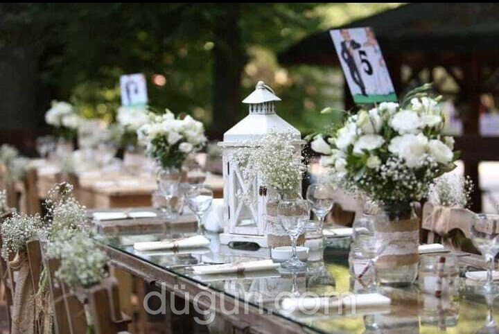 Akkota Production A.Ş.