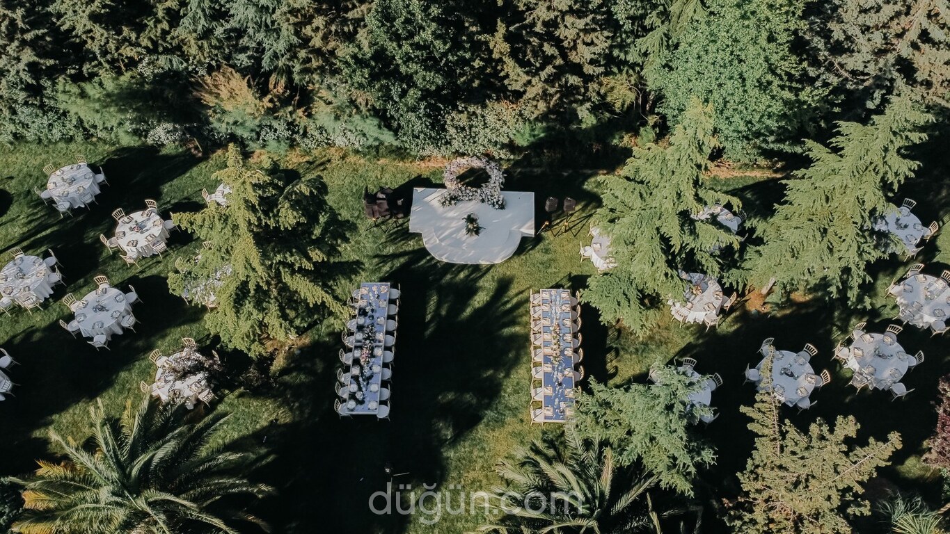 Wynhouse İstanbul