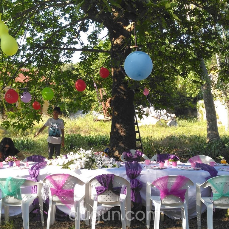 Birgül Organizasyon