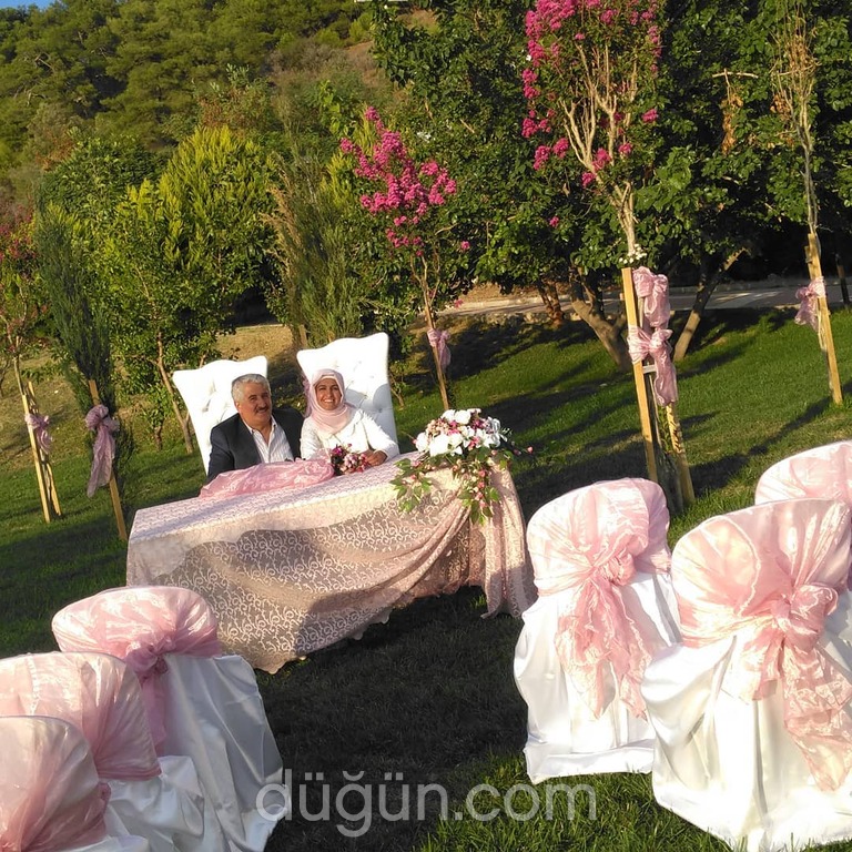 Birgül Organizasyon