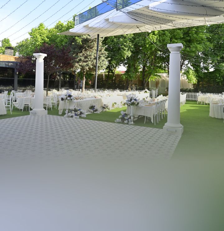 Fly Garden