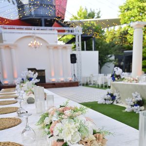 Fly Garden