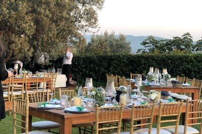 Mütevelli Çiftliği