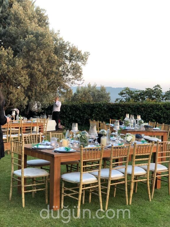 Mütevelli Çiftliği