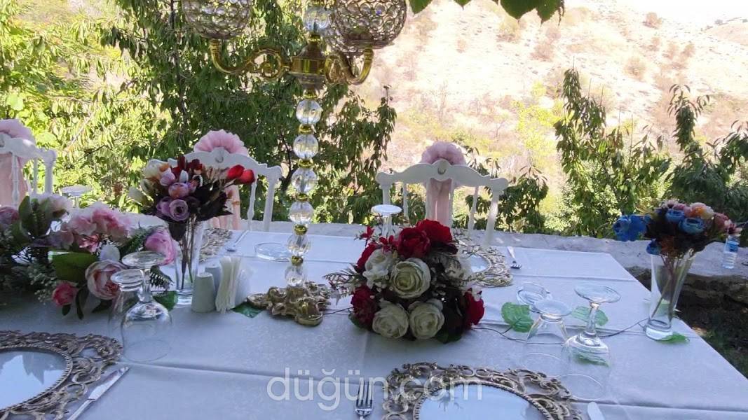 Alen Ajans Organizasyon